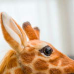 Sweet Giraffe Plush